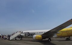 Bees airlines, Киев, Одесса