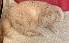 Прогноз погоди в Україні / Фото: Фейсбук синоптика Наталії Діденко