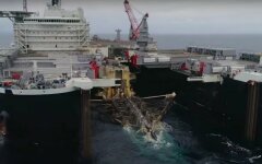 «Северный поток 2» продолжат строить: названы сроки