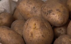 Картофель, цены, Украина