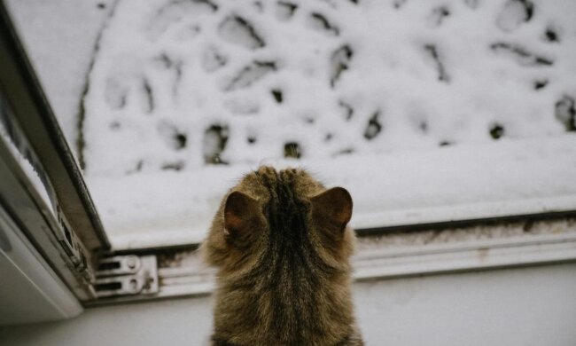 Прогноз погоди в Україні / Фото: pexels