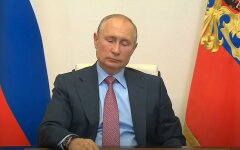 Андрей Пионтковский, рейтинг, Владимир Путин