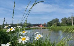 Прогноз погоди в Україні / Фото: glavnoe.in.ua