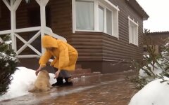 Погода в Украине, погода в феврале