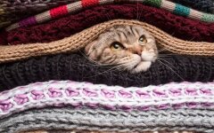 Прогноз погоди в Україні