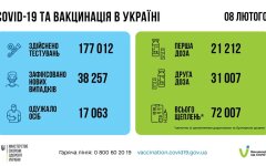 Статистика по коронавирусу на утро 9 февраля