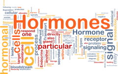 hormones