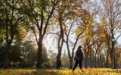 Погода в Украине, прогноз погоды, ноябрь