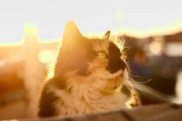 Прогноз погоди в Україні / Фото: Unsplash
