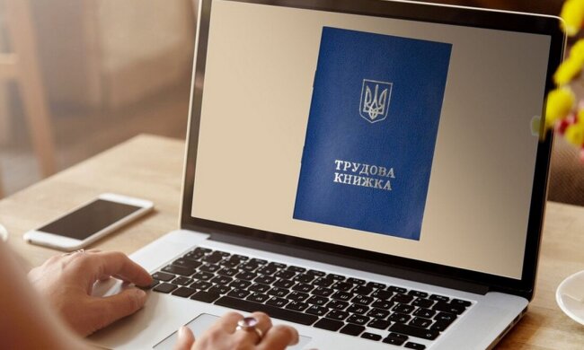 Электронные трудовые / Фото: nikopolnews.net