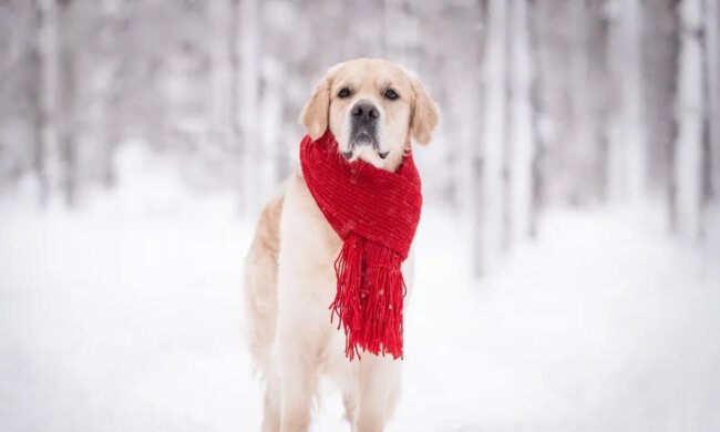 Прогноз погоды в Украине / Фото Depositphotos.com