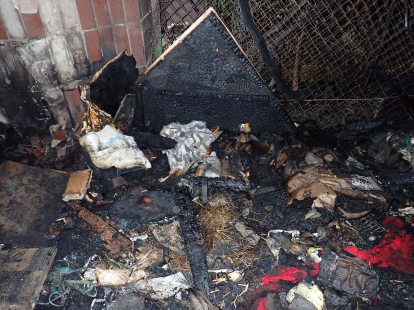 Пожар в приюте для кошек "Котобаза", Киев