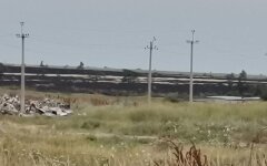 Поле у ​​Маріуполі, війна з росією