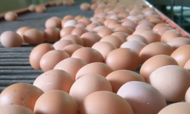 Яйца, цены на яйца, цены на яйца в Украине, цены на продукты