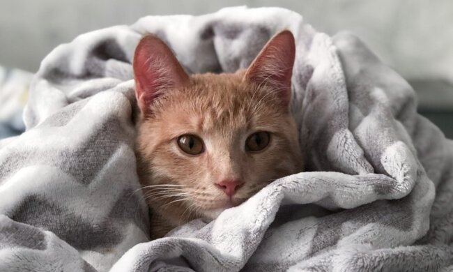 Прогноз погоды в Украине