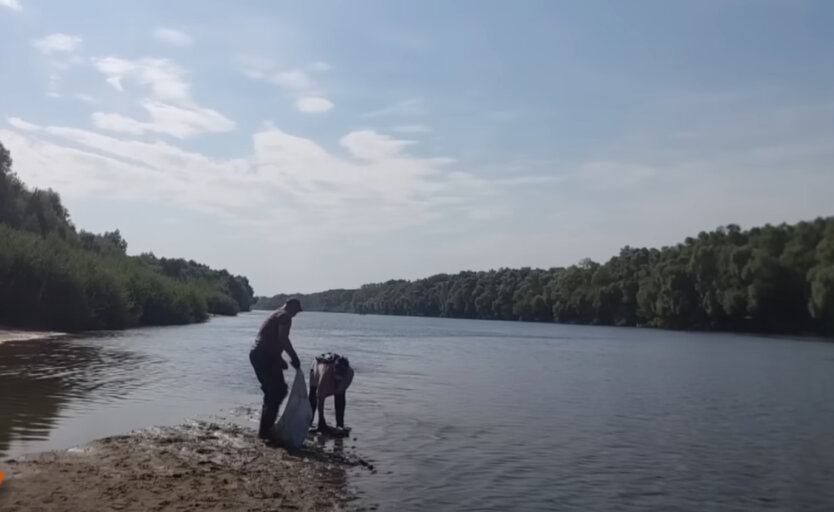 Загрязнение Сейма и Десны