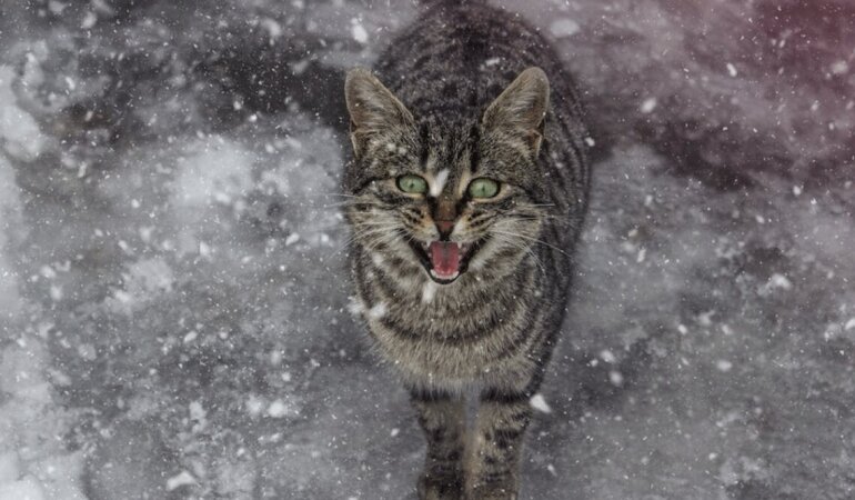 Прогноз погоды в Украине / Фото: pexels