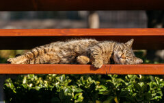 Прогноз погоди в Україні / Фото: Envato Elements