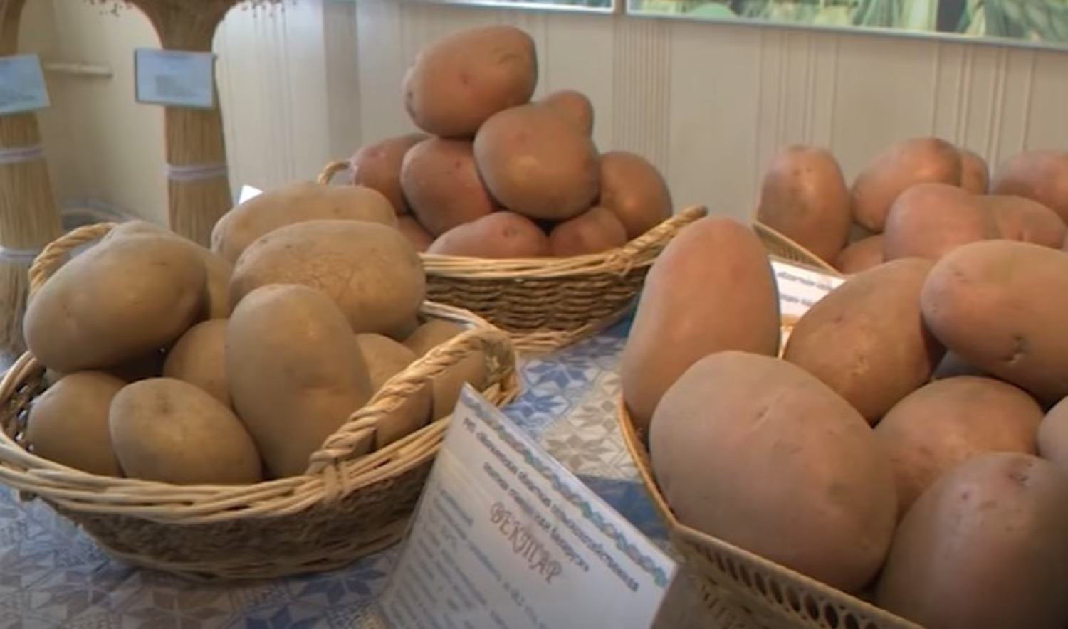 Цена На Картофель В Нижегородской Области