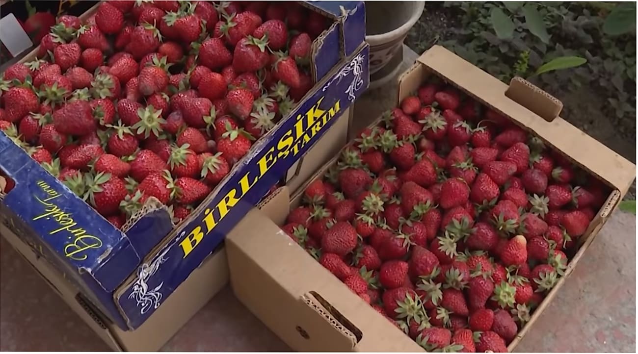 Цены на продукты в Украине: сколько стоит черешня и клубника и как ...