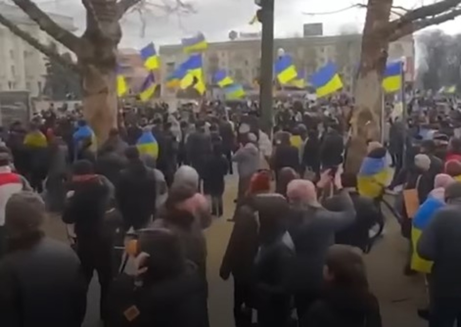 Бердянск в оккупации. Протесты. Митинг в Украине. Митинг в Мариуполе. Российские протесты.