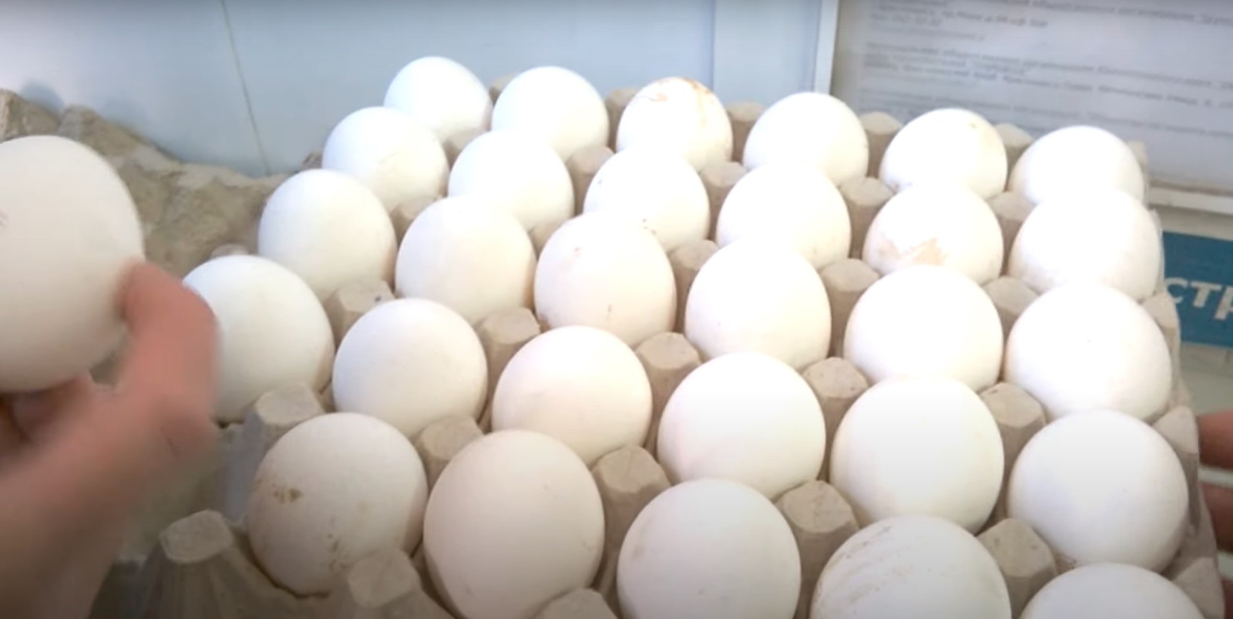 Купить продукты в Украине: Метро, Ашан и Варус изменили цены на яйца ...