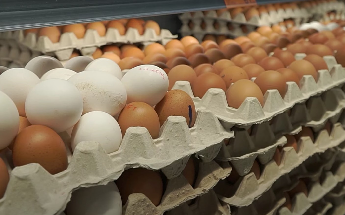 Купить продукты в Украине: в супермаркетах подешевели яйца, цены на ...