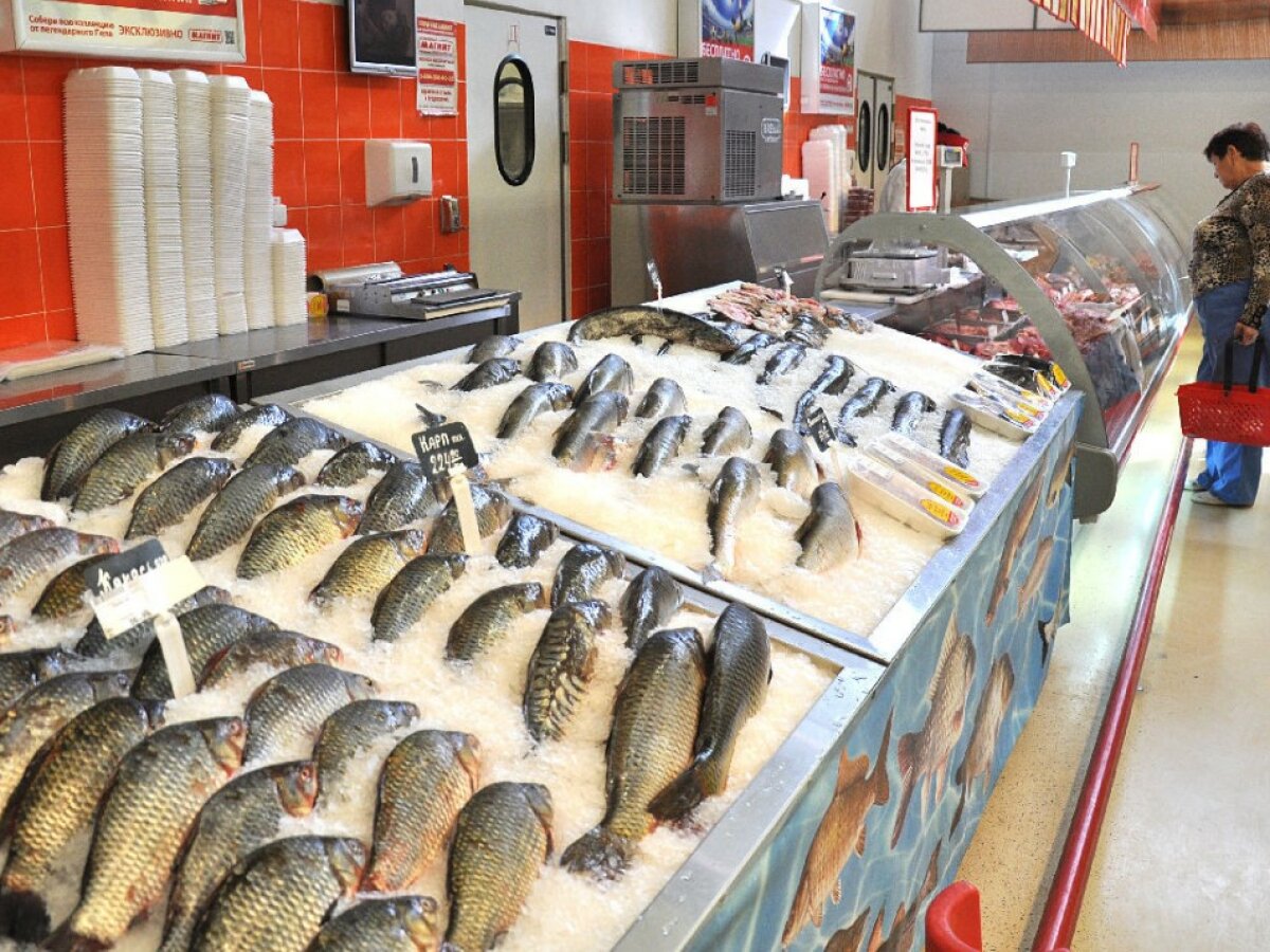 Можно купить свежую рыбу. Рыба на прилавке. Выкладка рыбы. Прилавок с рыбой на рынке. Выкладка рыбы в магазине.
