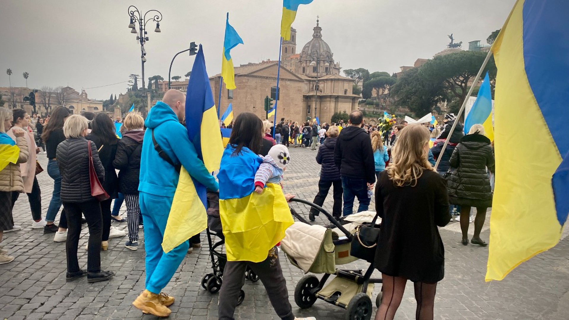 В центре Праги мужчина эксплуатировал сокола. Полиция изъяла птицу: видео - vinegret